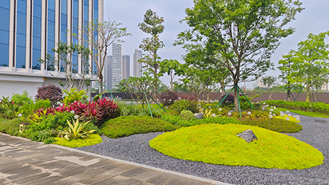 ��ҳ- ABGŷ�����Ź�����¼���