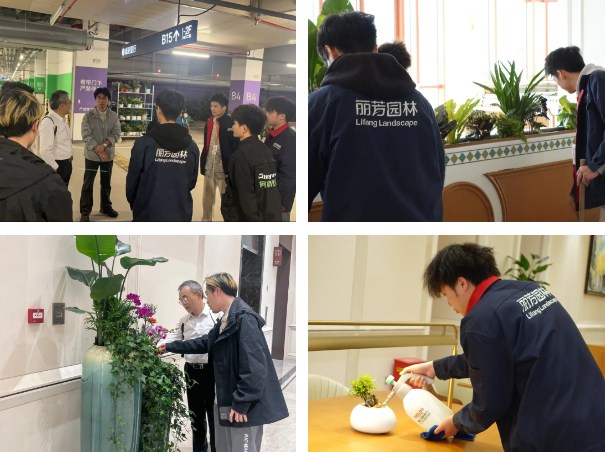 ��ҳ- ABGŷ�����Ź�����¼���