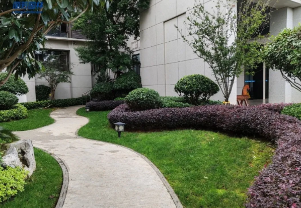 ��ҳ- ABGŷ�����Ź�����¼���