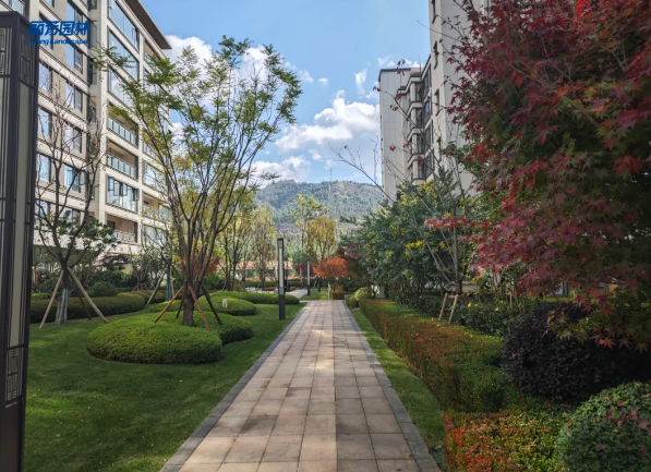 ��ҳ- ABGŷ�����Ź�����¼���