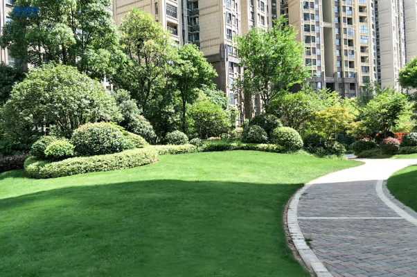 ��ҳ- ABGŷ�����Ź�����¼���