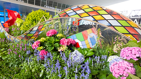 ��ҳ- ABGŷ�����Ź�����¼���