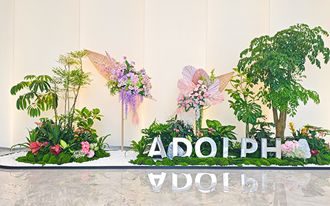 ��ҳ- ABGŷ�����Ź�����¼���