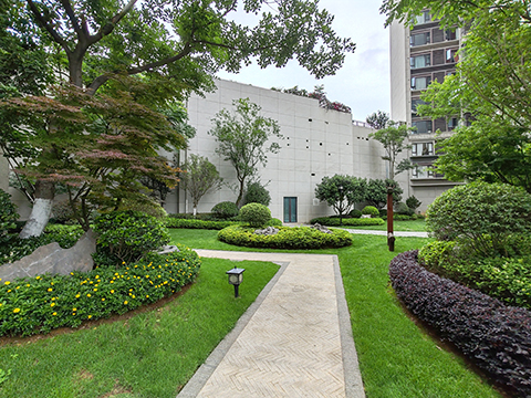 ��ҳ- ABGŷ�����Ź�����¼���