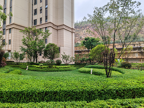 ��ҳ- ABGŷ�����Ź�����¼���