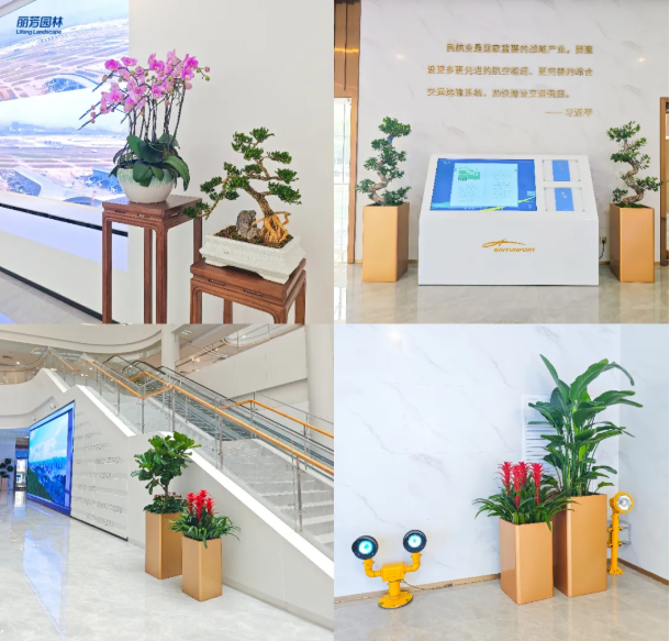 ��ҳ- ABGŷ�����Ź�����¼���