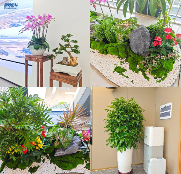 ��ҳ- ABGŷ�����Ź�����¼���