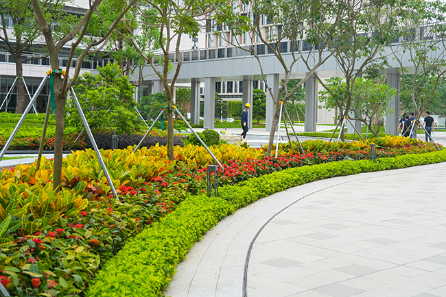 ��ҳ- ABGŷ�����Ź�����¼���