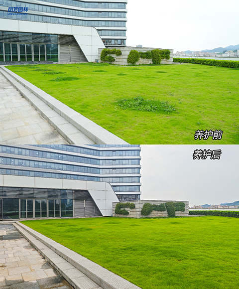 ��ҳ- ABGŷ�����Ź�����¼���