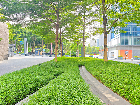 ��ҳ- ABGŷ�����Ź�����¼���