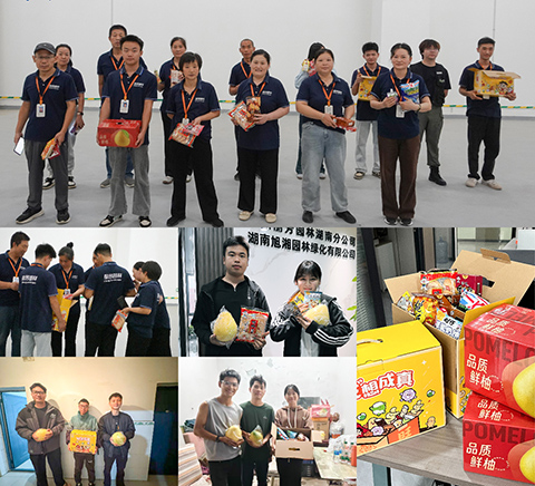 ��ҳ- ABGŷ�����Ź�����¼���