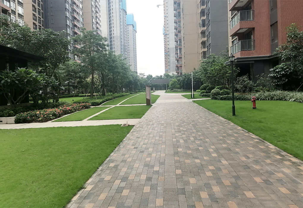 ABGŷ������԰��������Ŀ��Զ��ҵ����