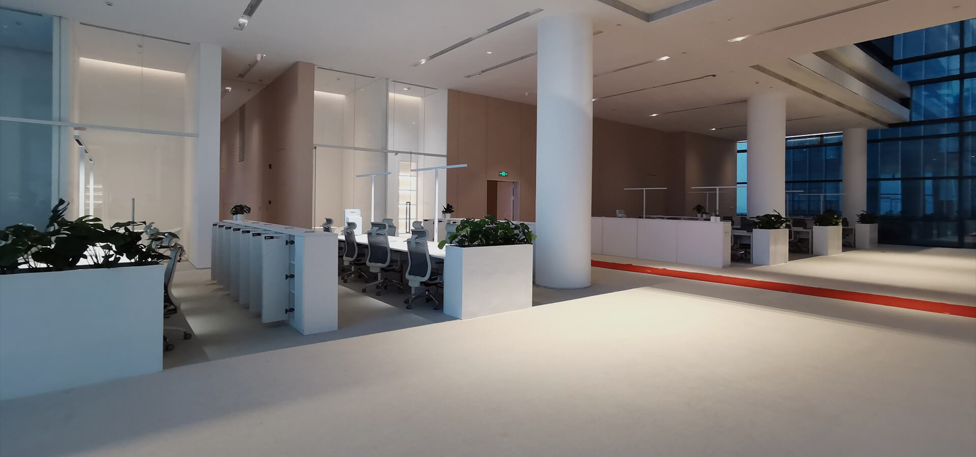 ��ֲ����