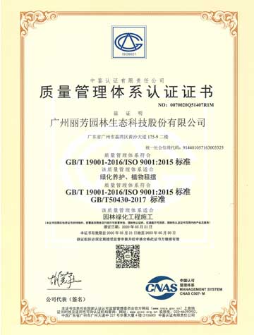 ��ҳ- ABGŷ�����Ź�����¼���