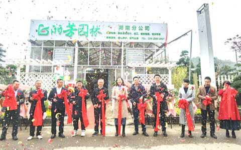 ABGŷ������԰�ֺ��Ϸֹ�˾ʢ��ҵ����ս�����г�