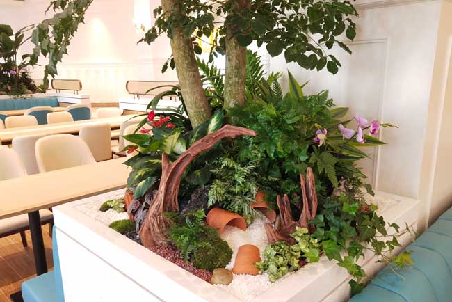 ��Ϊ��ݸ����ɽ����