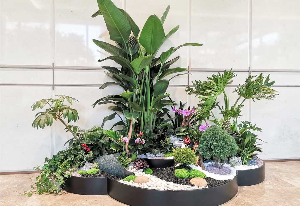 ��Ϊ�������ܲ���