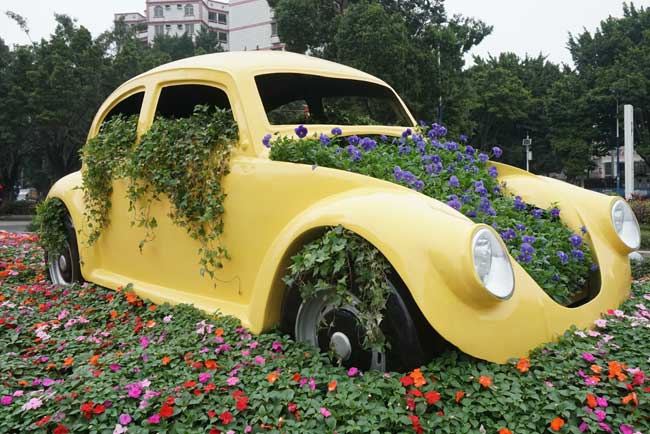 �̳��ұ��̻�����