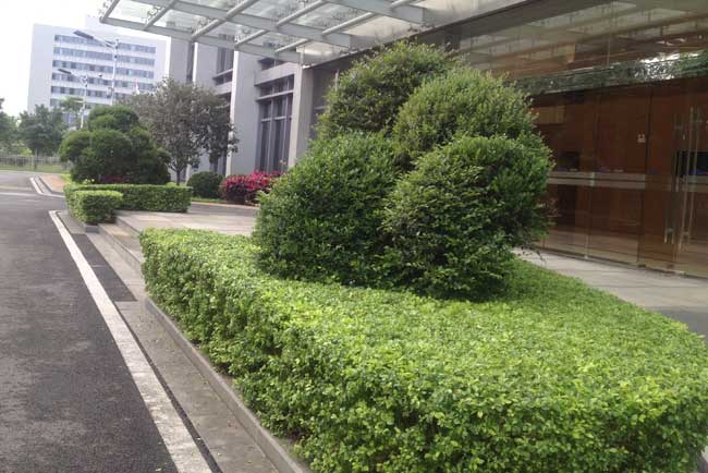 �����̻�����