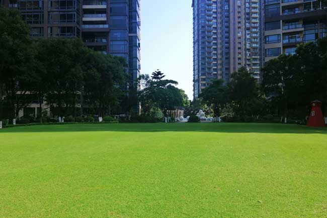 ������ҵ