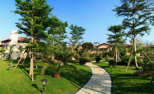 ���ǡ������̻�������Ŀ