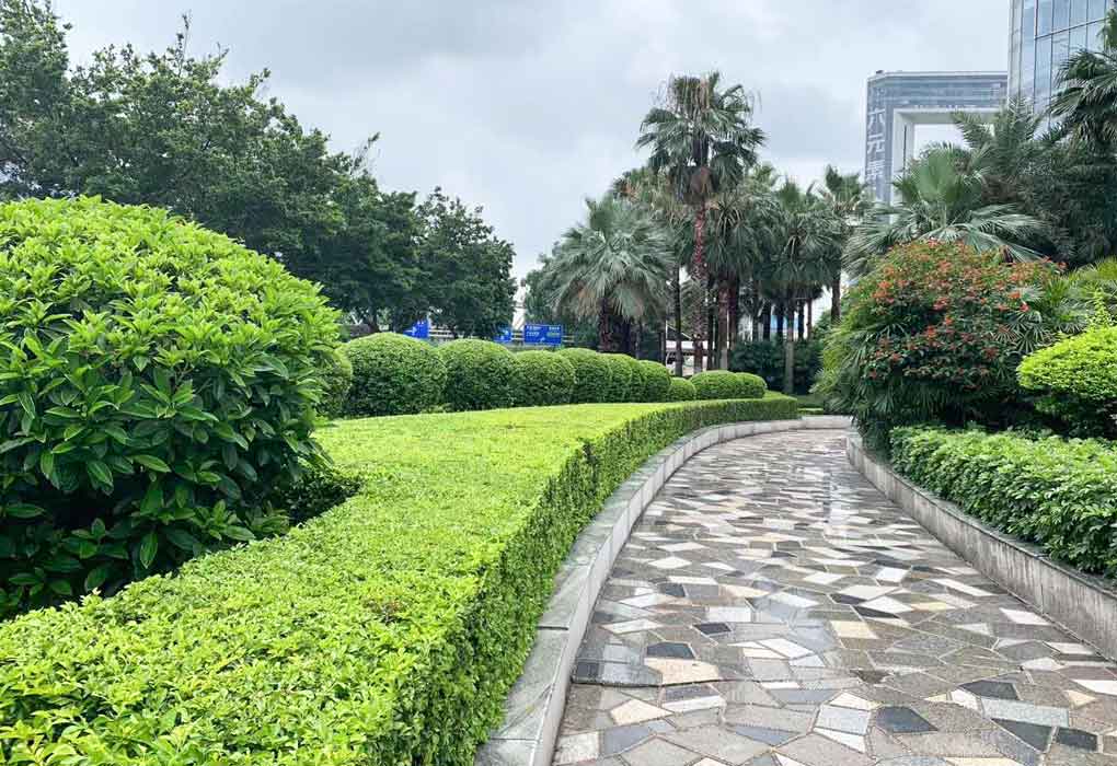 ������������