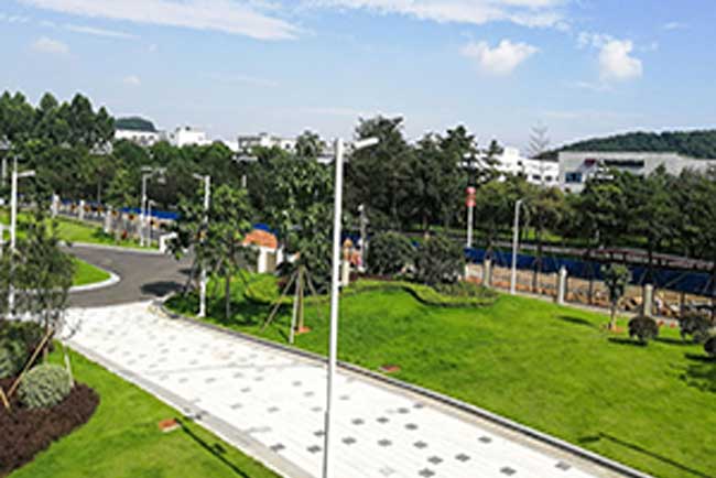 LG Display��CO�������̻�����