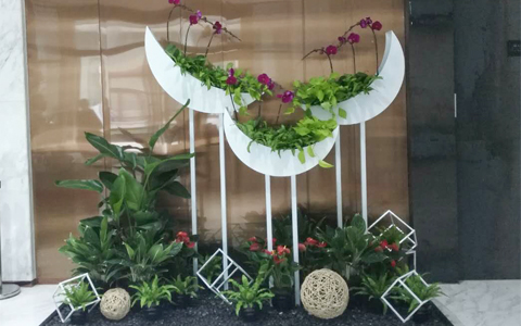 ���ݰڷŹ�˾���������� ��ֲ���޼�ֵ��