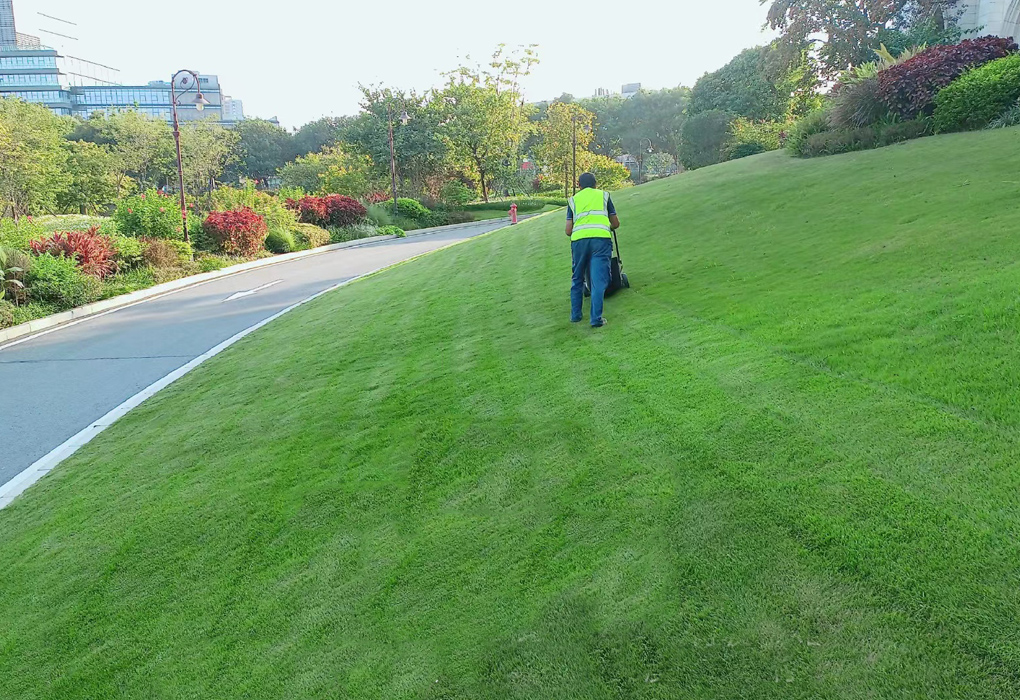 ��ݸ����ɽ��԰����������