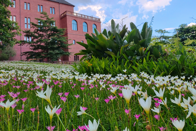 ��ݸ����ɽ��԰����������