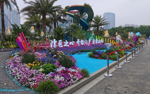 ��29��԰���ῪĻ��ABGŷ������԰�ֲ�չ���»��3��