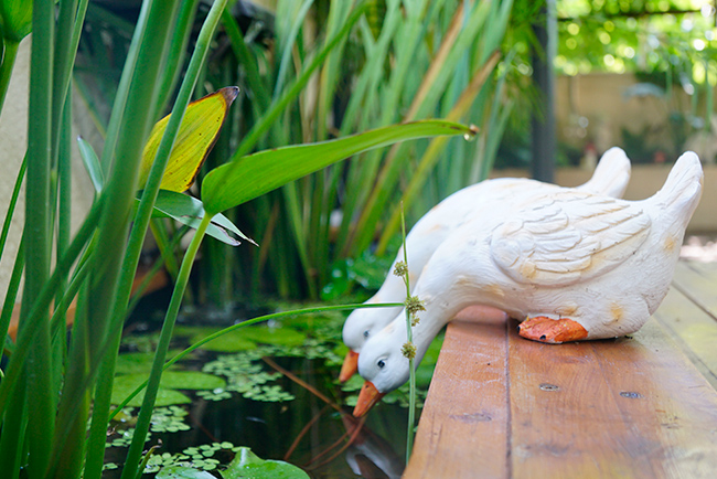 ABGŷ�����ſ���¶̨�������