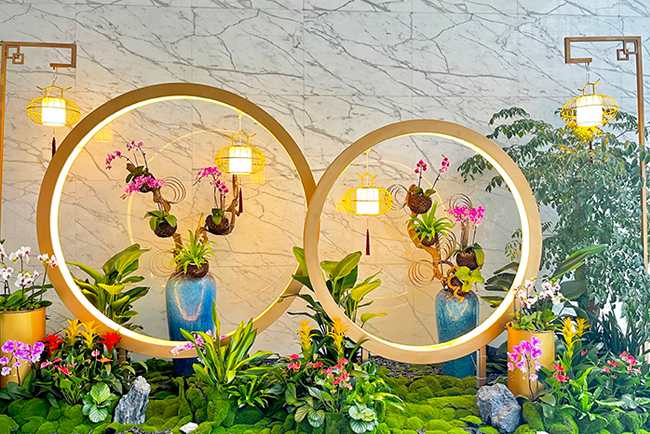 ABGŷ������԰�ֿ�������ֲ���쾰�������� ������������