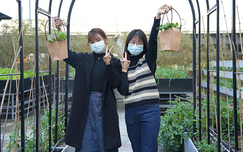 ABGŷ������԰�֣��ɸ��˶���Ķ���ũ������