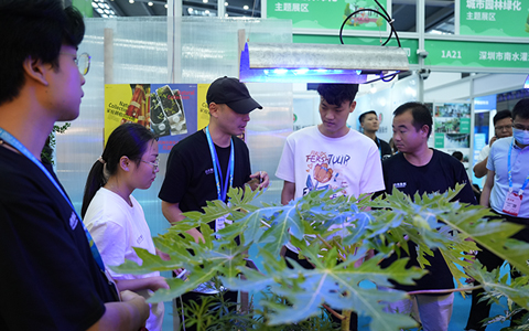 ����ʽ����ABGŷ������԰�֡���Ȼ����ع���ֳ���