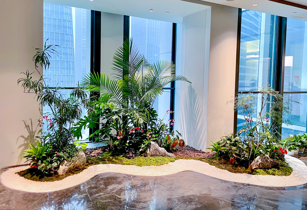 ABGŷ������԰�������̻������м�