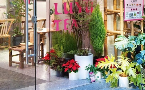 ����� | �����������ʽ�����������Ȼ��������