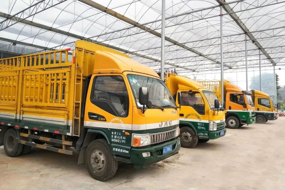 ��ҳ- ABGŷ�����Ź�����¼���