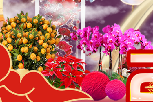 ��ҳ- ABGŷ�����Ź�����¼���