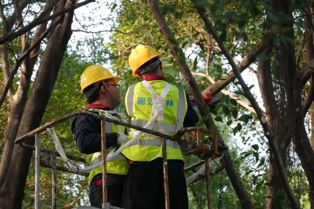 ��ҳ- ABGŷ�����Ź�����¼���