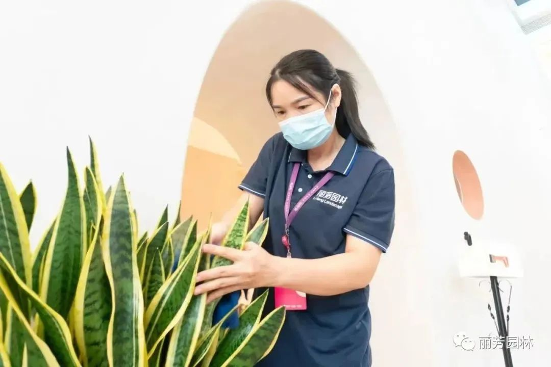 ��ҳ- ABGŷ�����Ź�����¼���