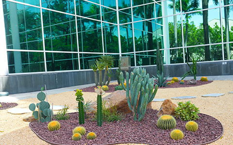 ABGŷ������԰�ְ������������ݹ�����ھ���ˢ��Բ��ʵ�֣�