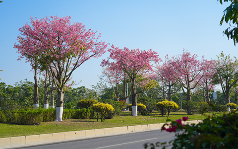 ABGŷ������԰�������ո۾���������··�̻����������Ŷ�������