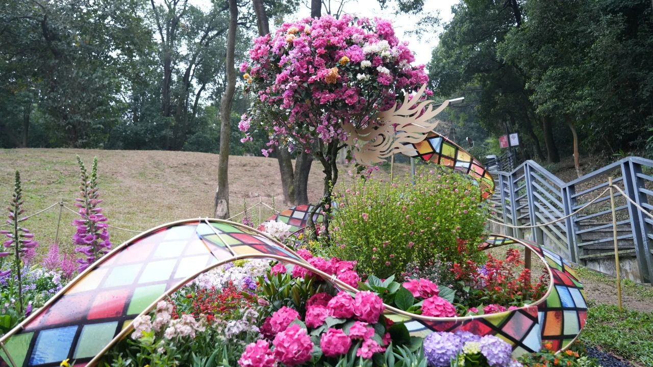 ��ҳ- ABGŷ�����Ź�����¼���