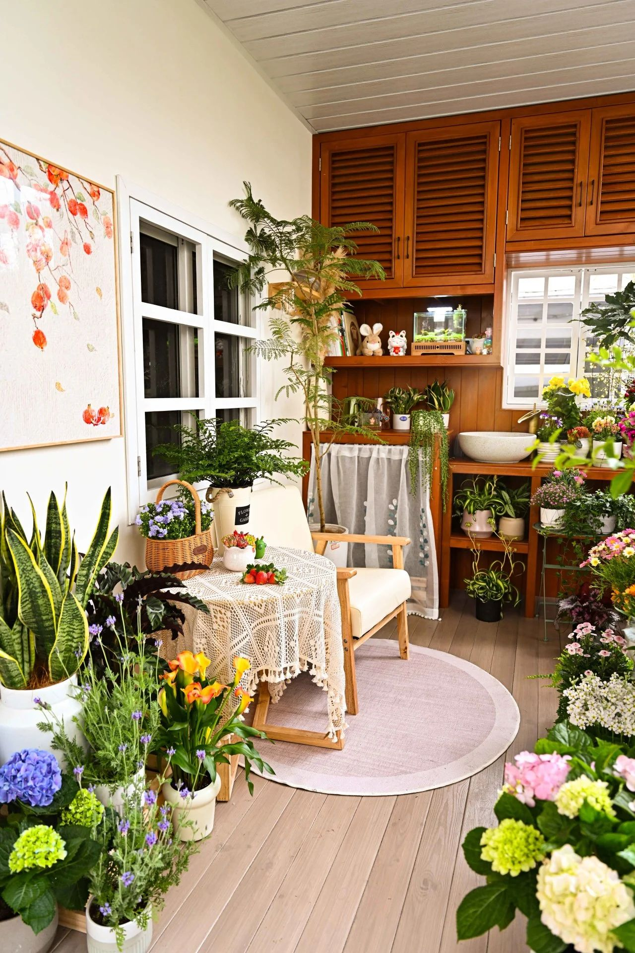 ��ҳ- ABGŷ�����Ź�����¼���