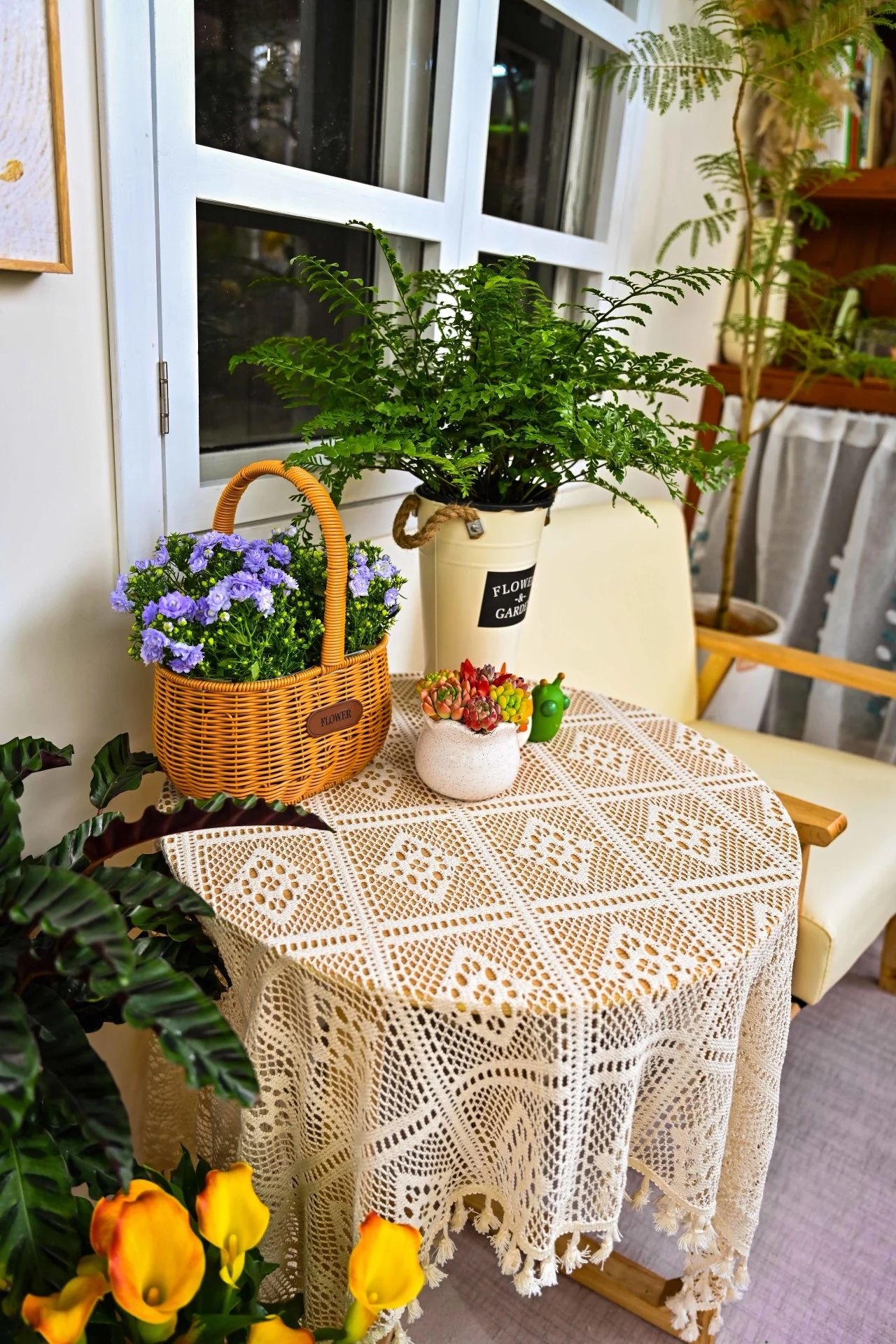 ��ҳ- ABGŷ�����Ź�����¼���