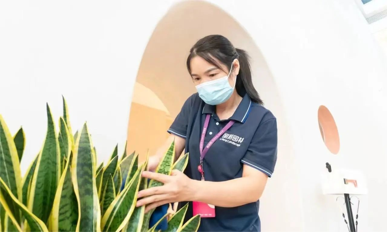 ��ҳ- ABGŷ�����Ź�����¼���