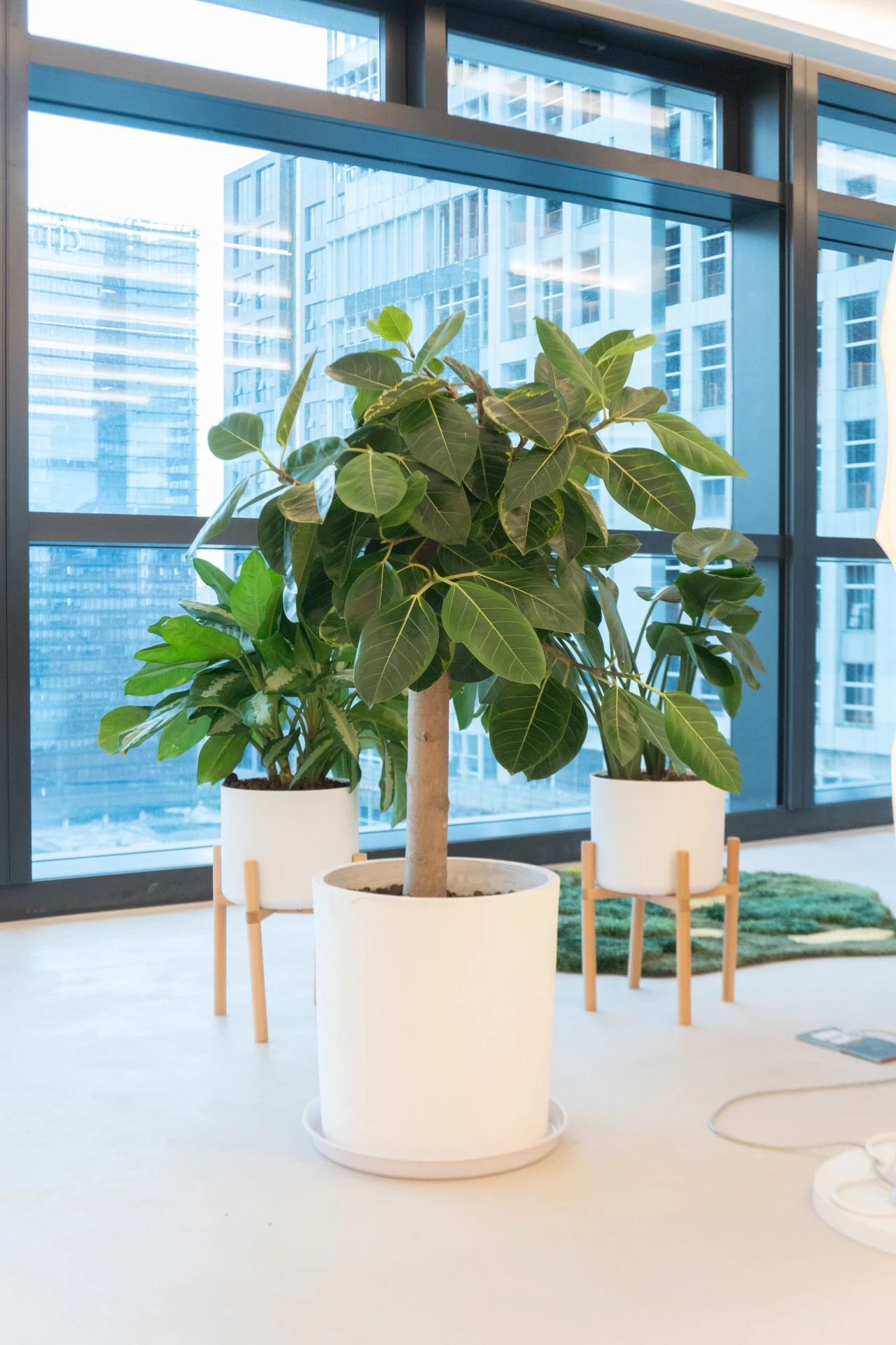 ��ҳ- ABGŷ�����Ź�����¼���