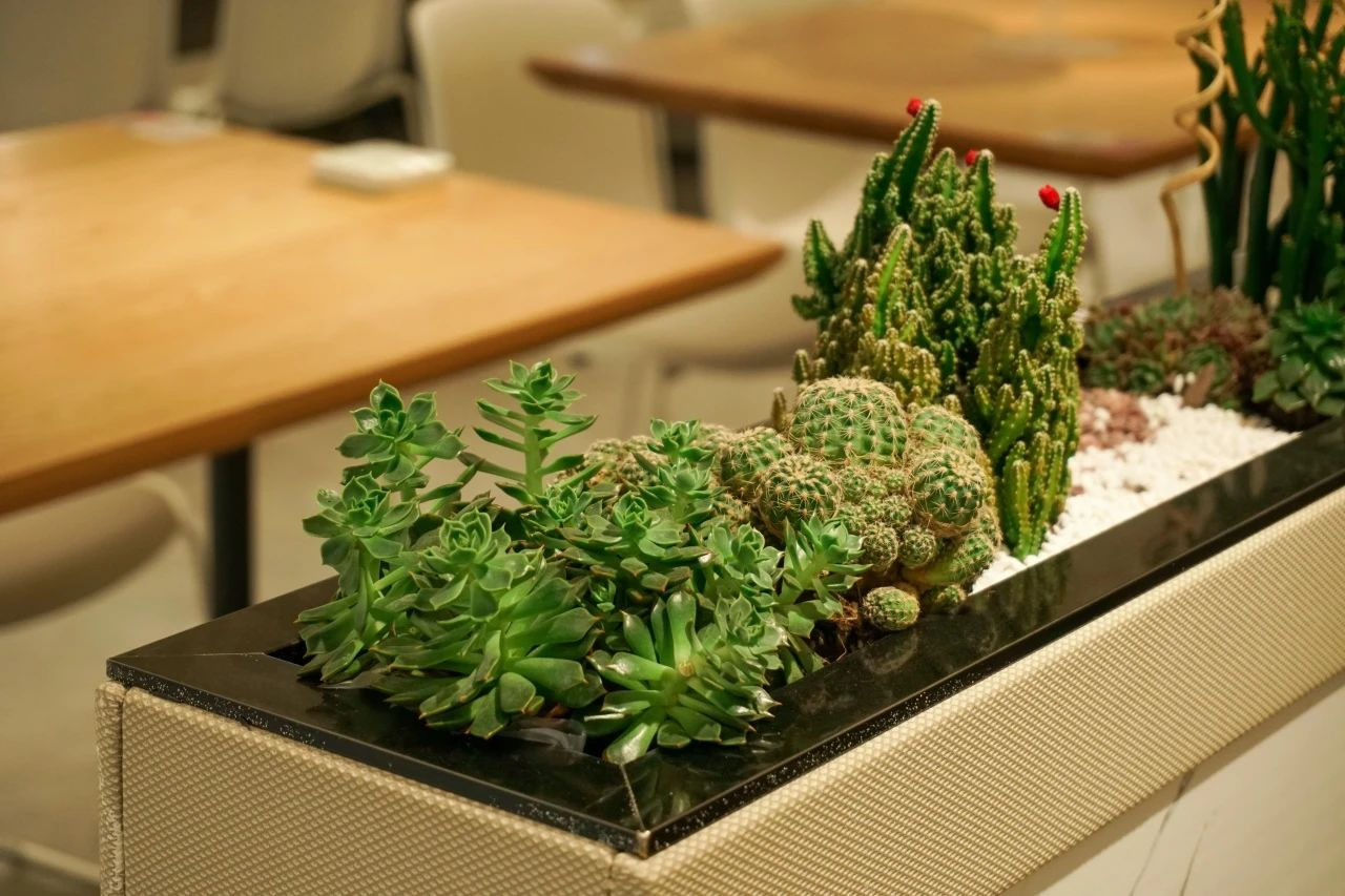 ��ҳ- ABGŷ�����Ź�����¼���