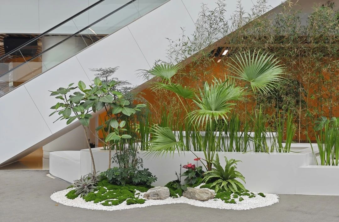 ��ҳ- ABGŷ�����Ź�����¼���